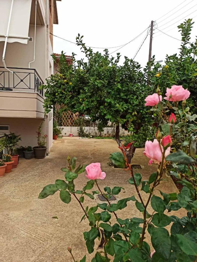 Apartament Agathi'S House Mytikas  Zewnętrze zdjęcie