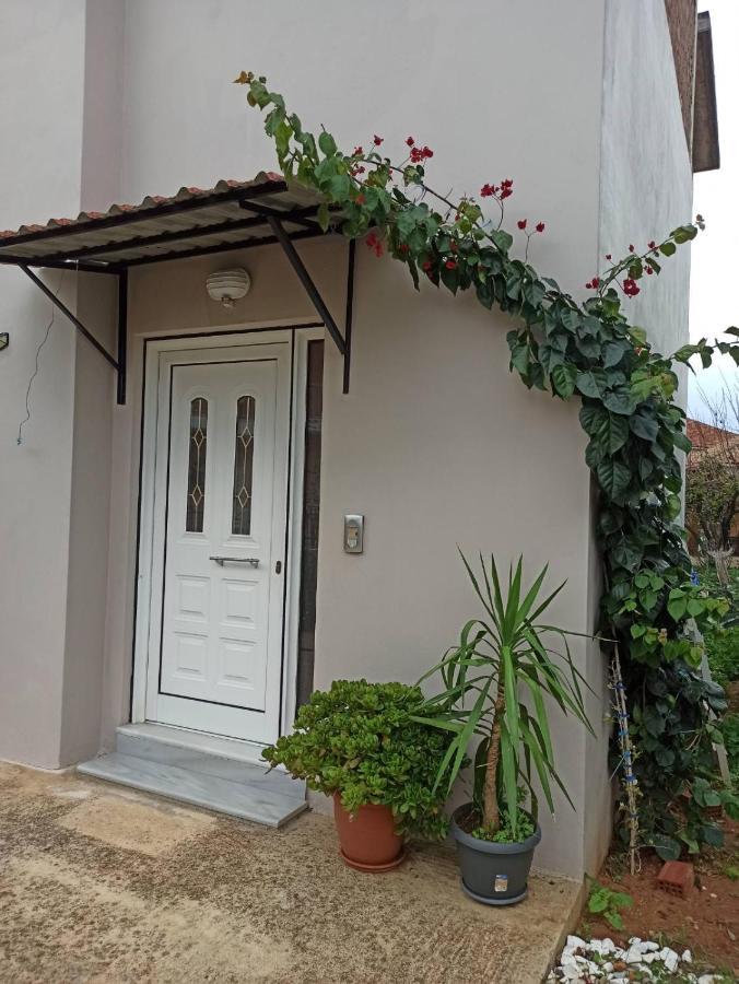 Apartament Agathi'S House Mytikas  Zewnętrze zdjęcie